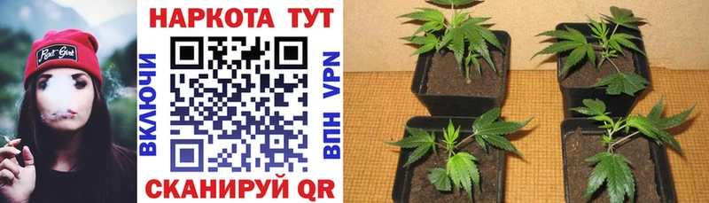 Магазин наркотиков Орехово-Зуево КОКАИН  Мефедрон  Alpha PVP  hydra как зайти  АМФЕТАМИН  Гашиш  Канабис 