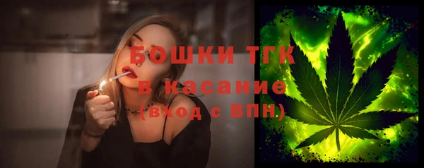 твердый Касимов