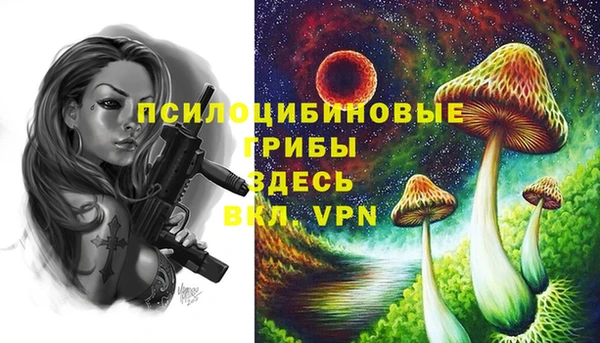 герыч Кинешма