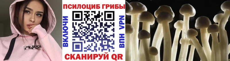 blacksprut   Орехово-Зуево  Псилоцибиновые грибы Cubensis  закладка 